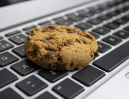 Cookie on the keyboard